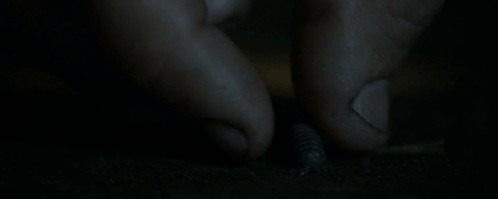 Game of Thrones, Season 4, Episode 8 - beetle