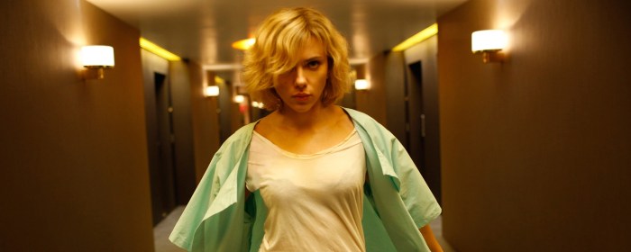 2014 - The Year in Scenes