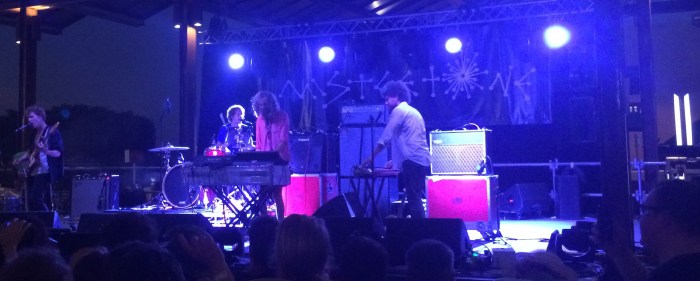 Pond at Brisbane Laneway 2015