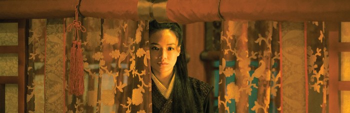 The Assassin (2015)