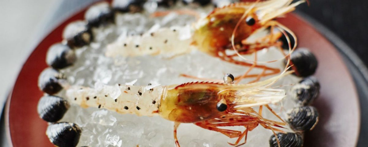 Ants on a Shrimp (2016)